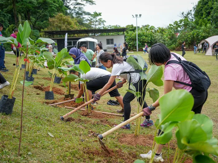 Mayday Garden, Taman Universiti Indah Picture 8