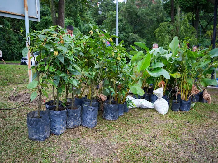 Mayday Garden, Taman Universiti Indah Picture 3