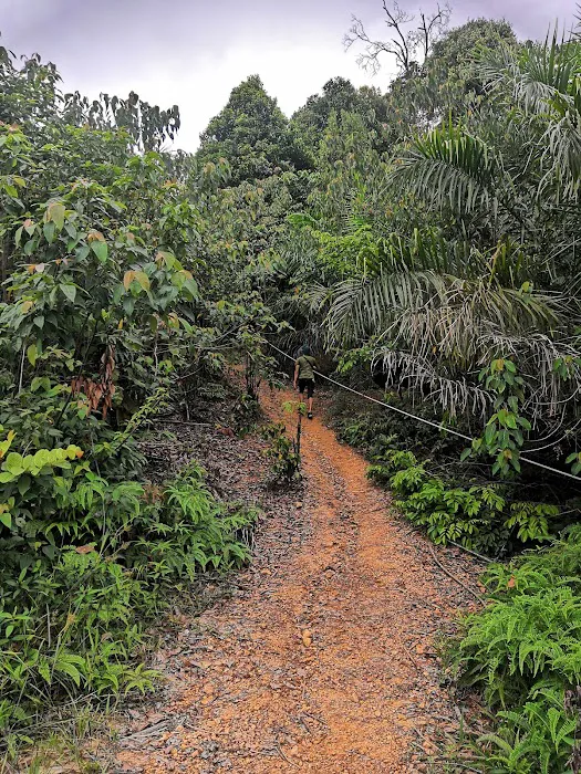 Bukit Senorang (Tapak mula laluan mendaki) Picture 2