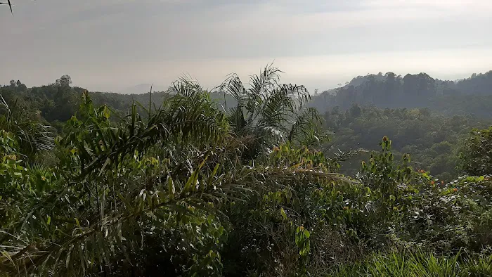 Bukit Senorang (Tapak mula laluan mendaki) Picture 4