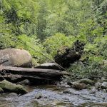 Lata Geotrail1
