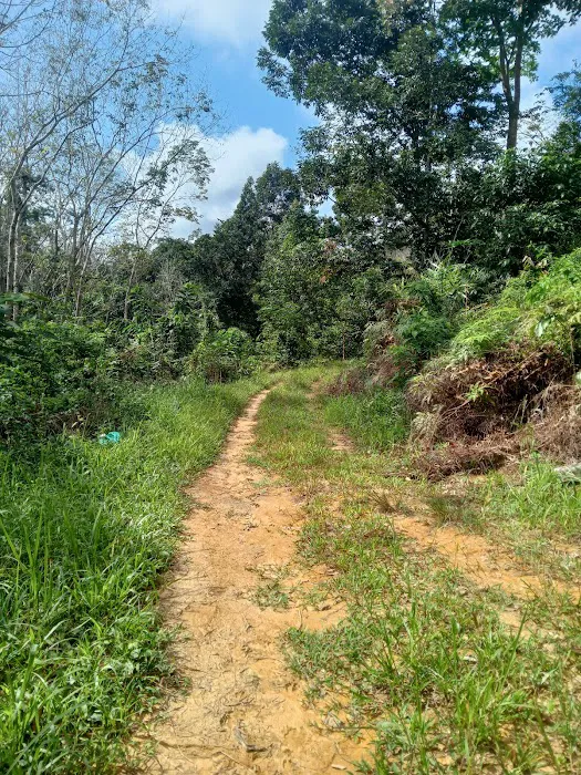 Kampung bukit canan Picture 1