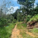 Kampung bukit canan