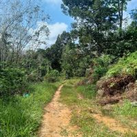 Kampung bukit canan ico