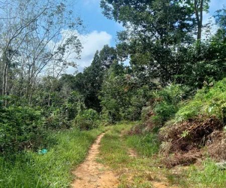Kampung bukit canan