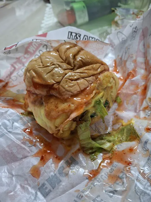 Burger Dil Picture 5