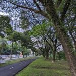 Metropolitan Batu Park Side Entrance