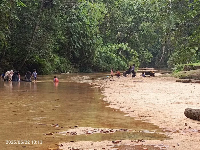 Hutan Lipur Sungai Pandan - Kuantan Picture 4