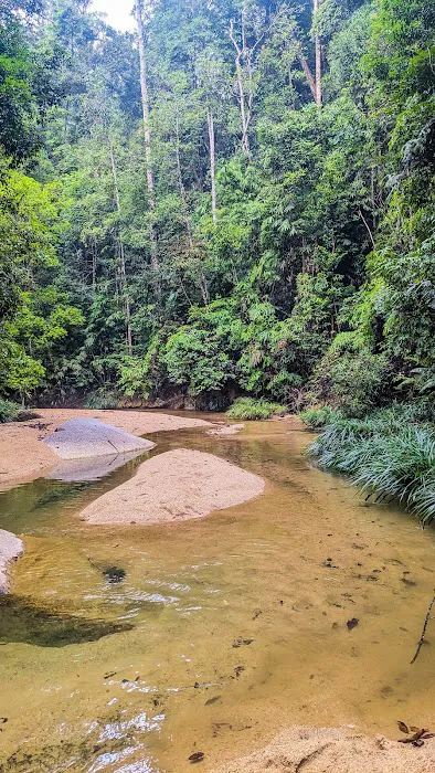 Air terjun orkid sg pandan Picture 5