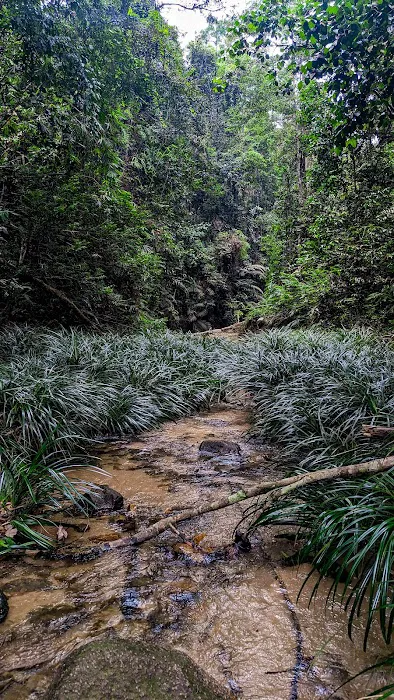 Air terjun orkid sg pandan Picture 1