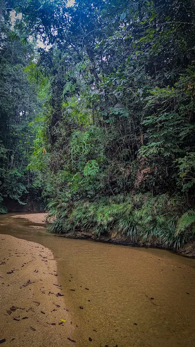Air terjun orkid sg pandan Picture 7