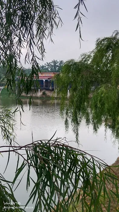 Taman Tasik Paya Besar Picture 9