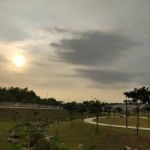 Meadow Park