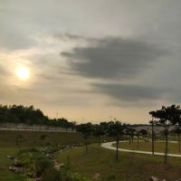 Meadow Park ico