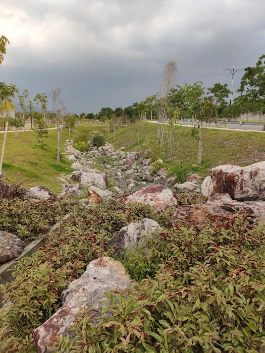 Meadow Park Picture 9