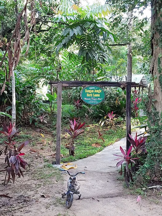 Dangau Jungle Herb Sauna & Taman Melawati Campsite Picture 5