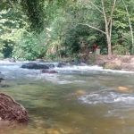 Jungle Pool @ Klang Gates Dam