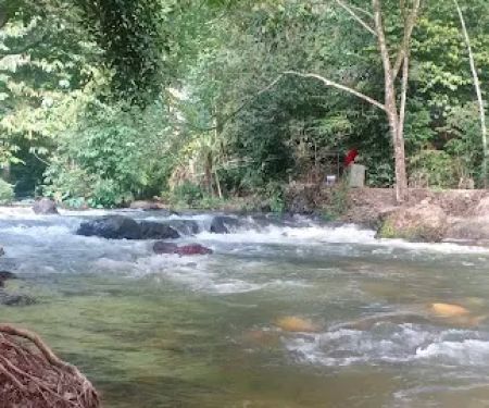 Jungle Pool @ Klang Gates Dam