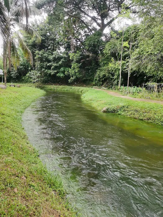 Friends Of Sungai Klang Taman Melawati River Three Picture 2