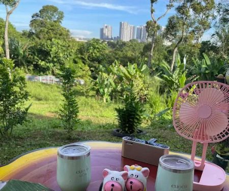 Low’s Dusun