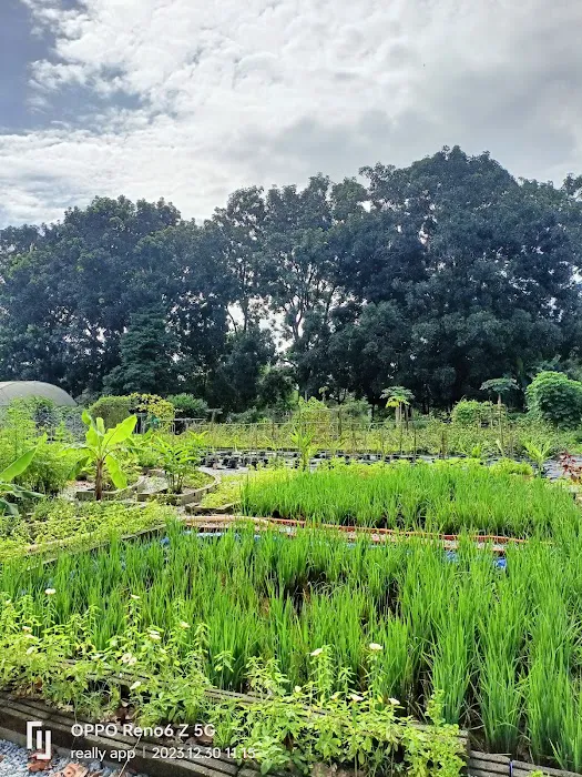 Kebun Komuniti Palatium Bukit Bandaraya Shah Alam Picture 9