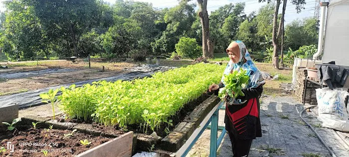 Kebun Komuniti Palatium Bukit Bandaraya Shah Alam Picture 2