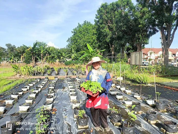 Kebun Komuniti Palatium Bukit Bandaraya Shah Alam Picture 6