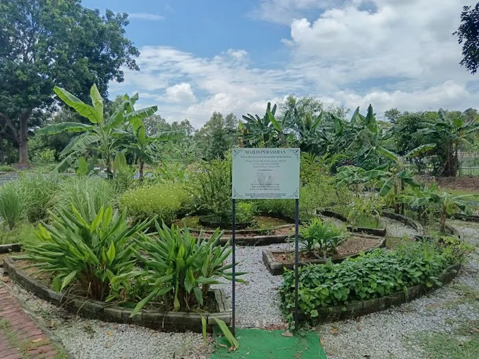 Kebun Komuniti Palatium Bukit Bandaraya Shah Alam Picture 10