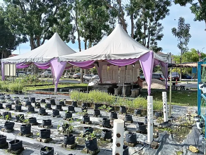Kebun Komuniti Palatium Bukit Bandaraya Shah Alam Picture 3