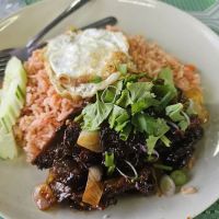 TOMYAM WIRA SEJATI ico
