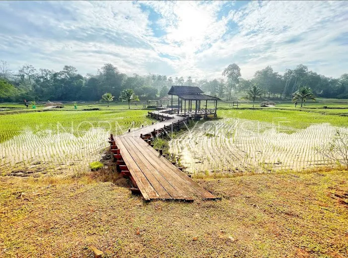 National Botanic Gardens Shah Alam Picture 1