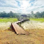 National Botanic Gardens Shah Alam