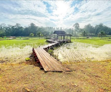 National Botanic Gardens Shah Alam