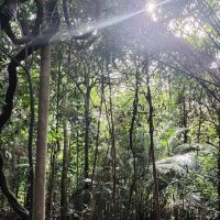 Puncak 100meter ico