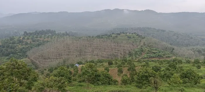 Viewing Tower (Karak Orchard Resorts) Picture 3
