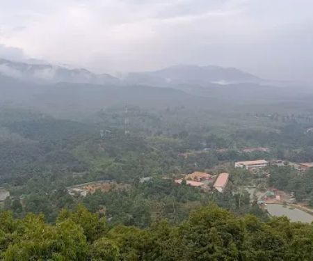 Viewing Tower (Karak Orchard Resorts)