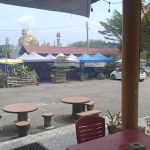 PATIN TEMPOYAK BUDAK BUNCIT