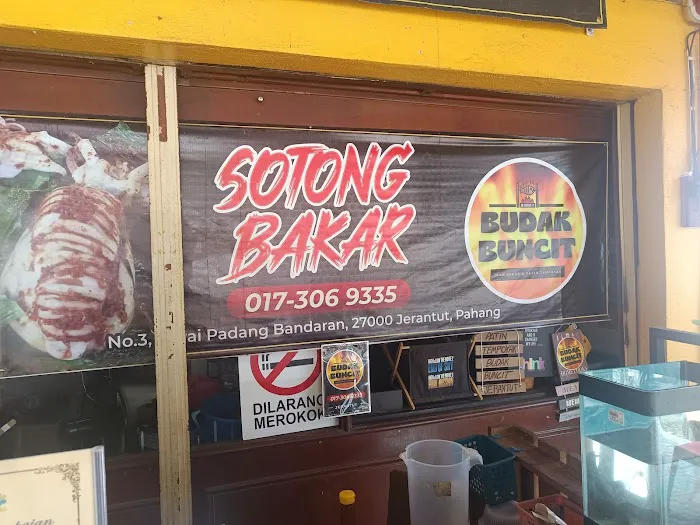 PATIN TEMPOYAK BUDAK BUNCIT Picture 2