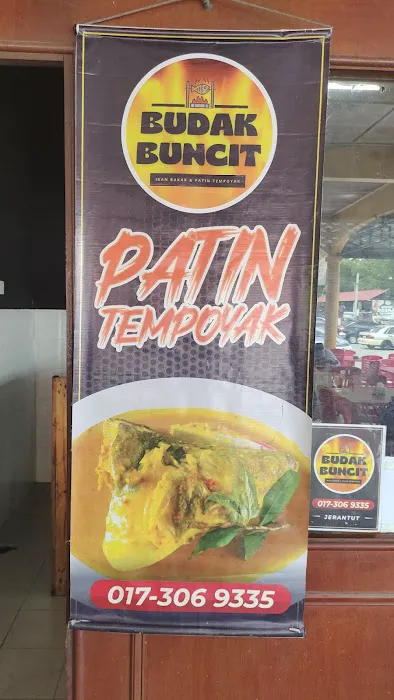 PATIN TEMPOYAK BUDAK BUNCIT Picture 7