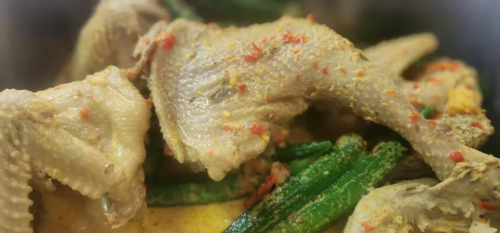 PATIN TEMPOYAK BUDAK BUNCIT Picture 6