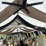 D'LAMAN SERI