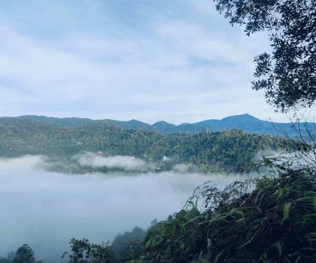 Starting Trail Bukit Panorama