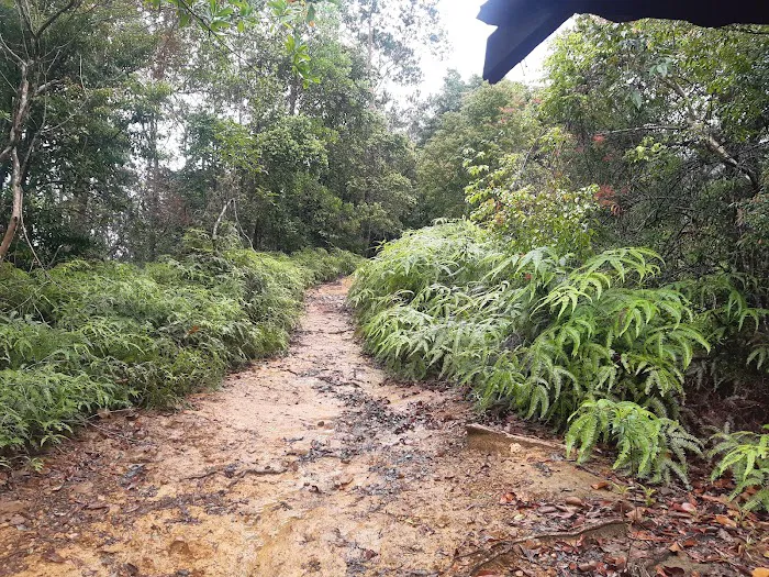 Starting Trail Bukit Panorama Picture 7