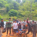 Spot gambar