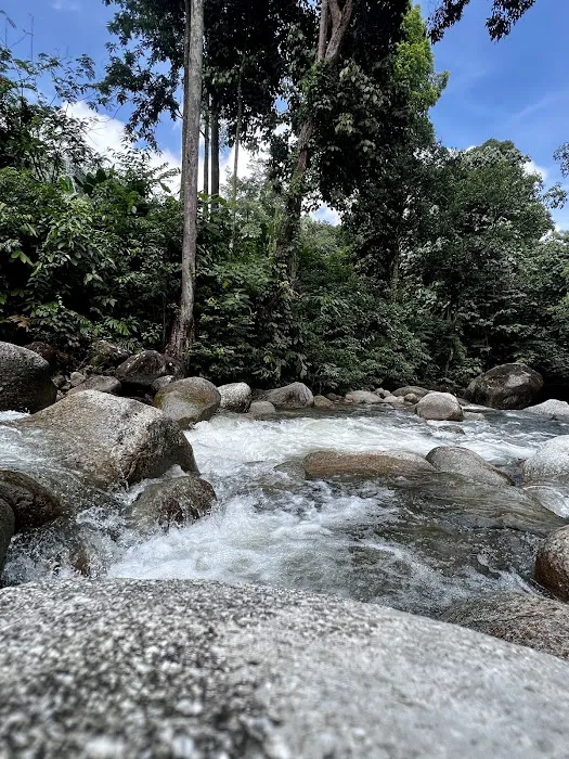 Inki River Park Picture 7