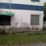 Surau Ros 1 (Madrasah Al-firdaus)