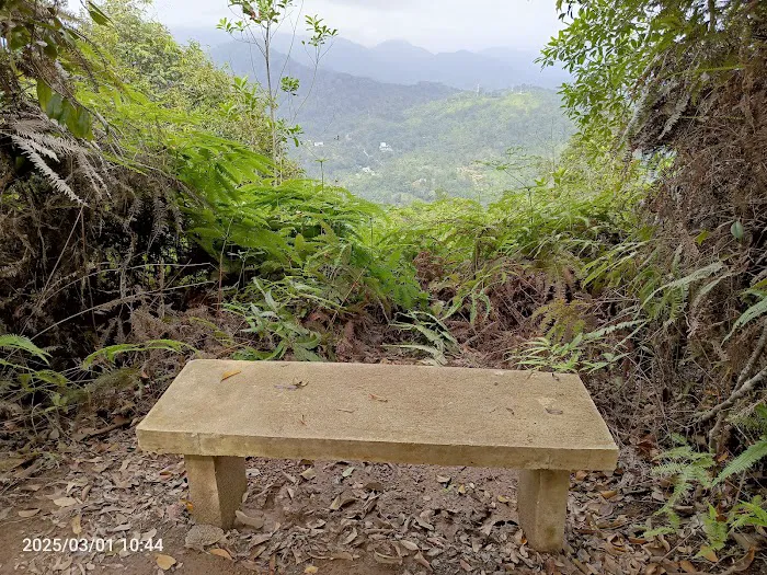 Puncak Bukit Panorama Picture 10