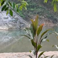 Yuran.my ico