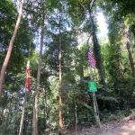 Bukit Jugra Peak