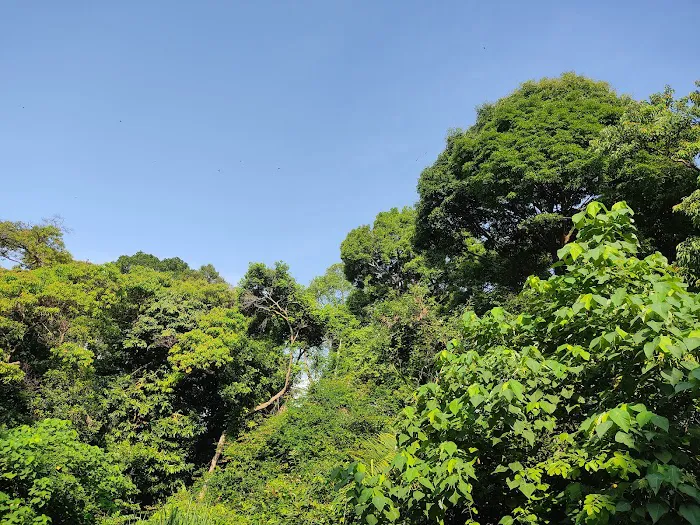 Bukit Jugra Peak Picture 6